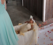2014 BethCoryWedding 051